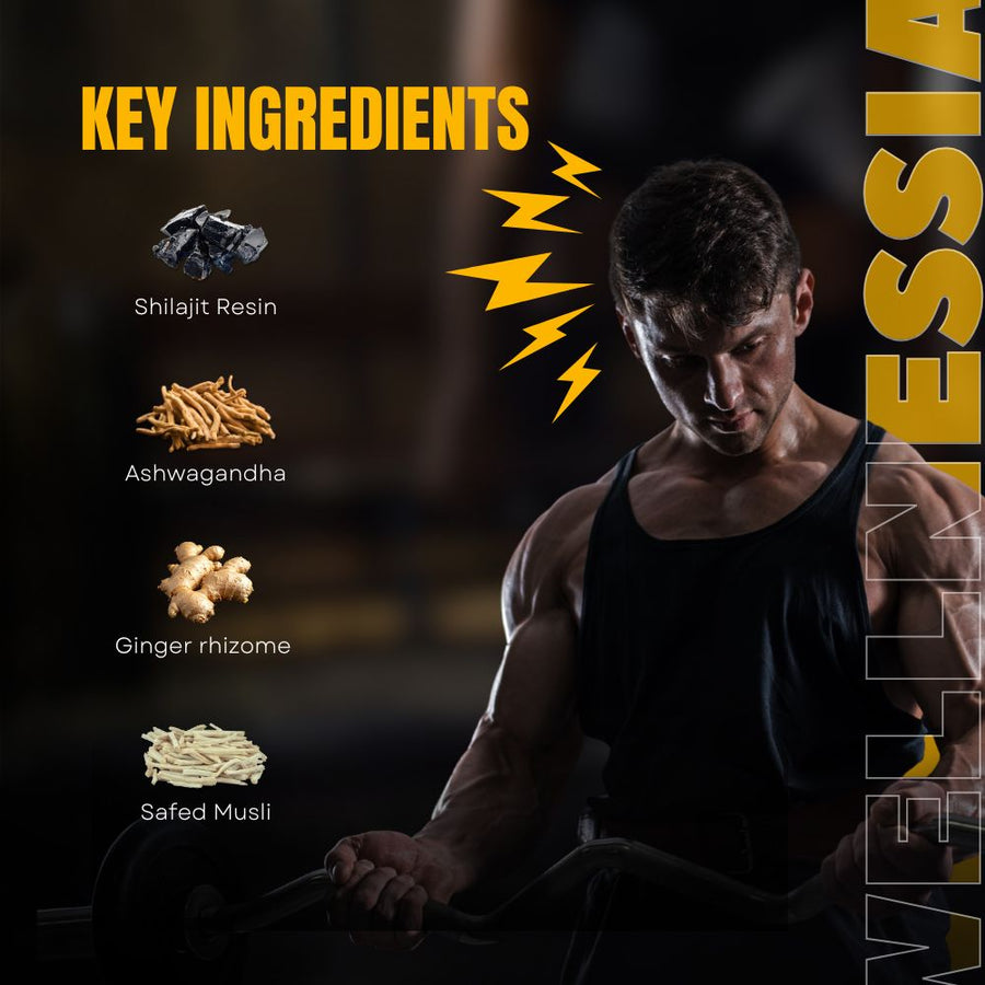 Zenith Male Vitality Gummies – Daily Wellness Supplement for Men