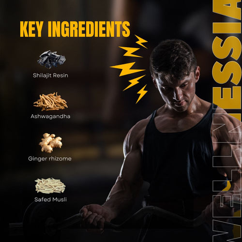 Zenith Male Vitality Gummies – Daily Wellness Supplement for Men