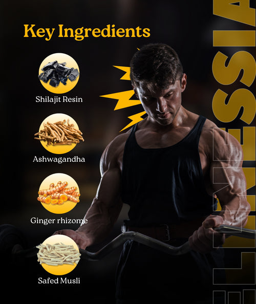 Zenith Male Vitality Gummies – Daily Wellness Supplement for Men