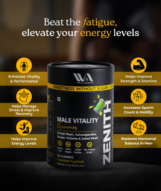 shilajit gummies for men